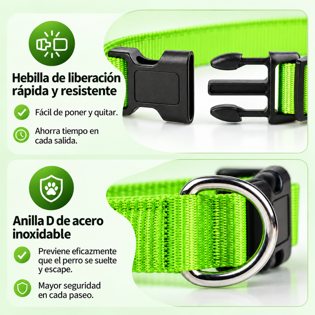 Collarín Guardián de Luz