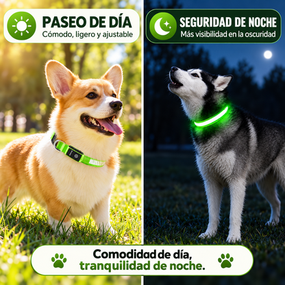 Collarín Guardián de Luz