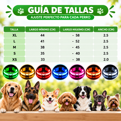 Collarín Guardián de Luz