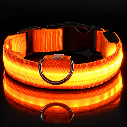 Collarín Guardián de Luz