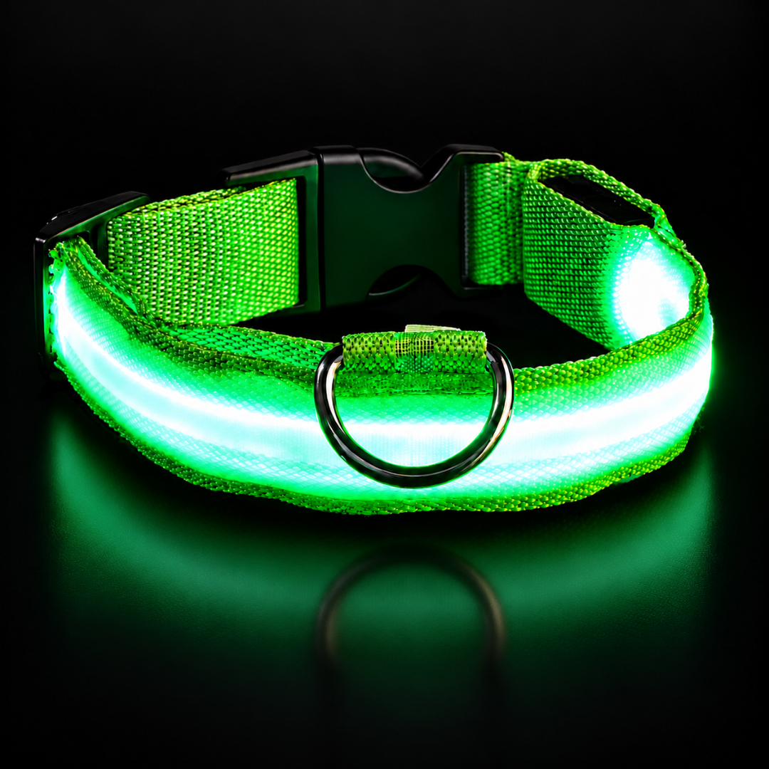 Collarín Guardián de Luz